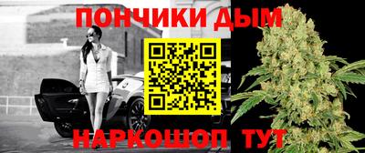 гашик Аргун