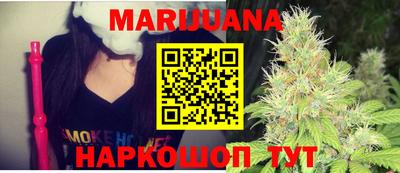 гашик Аргун