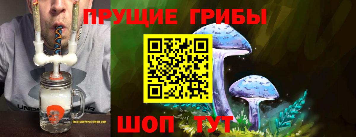 Беслан  продажа наркотиков  Вход с VPN  Галлюциногенные грибы Cubensis  Псилоцибиновые грибы Psilocybe 